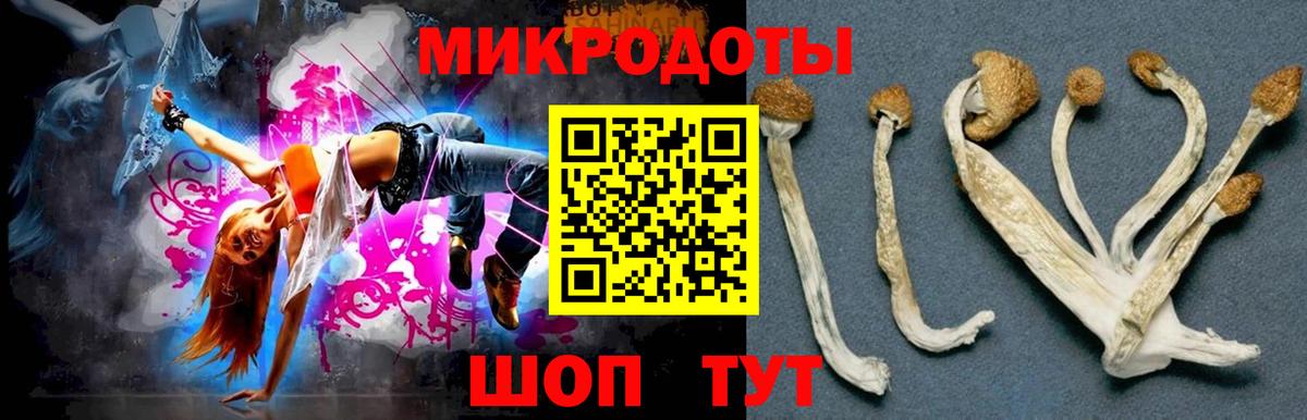 Галлюциногенные грибы GOLDEN TEACHER Скопин