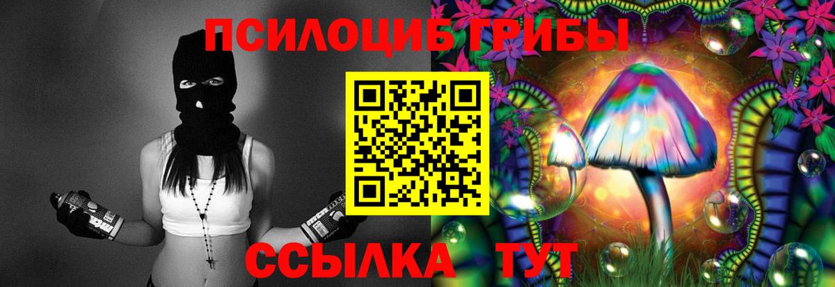 Скопин  Псилоцибиновые грибы прущие грибы  Вход с VPN 